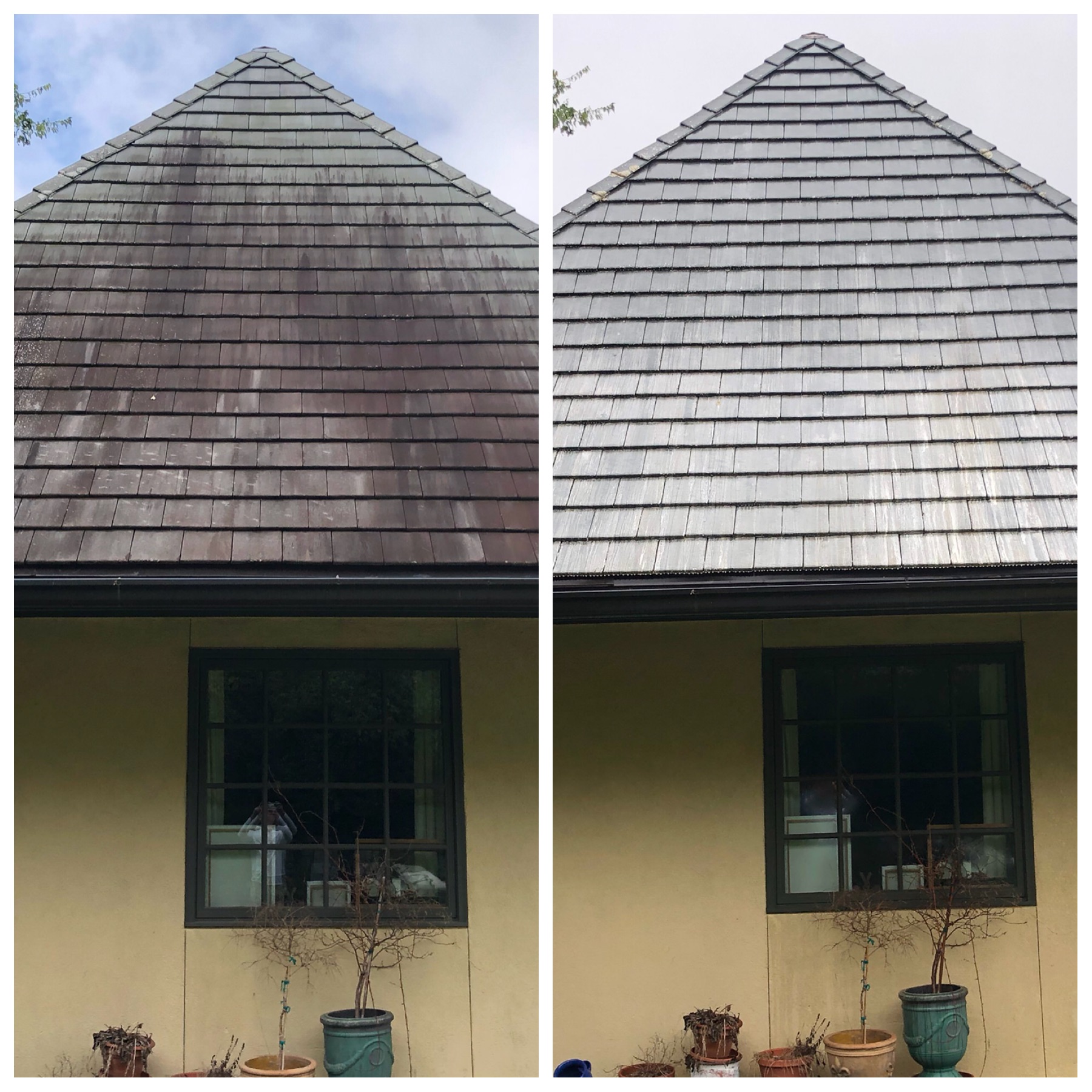 Roof Cleaning