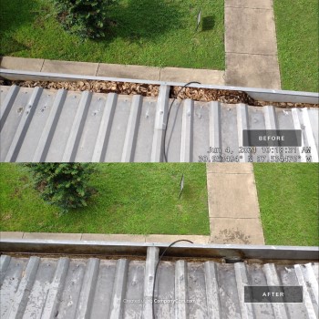 Gutter full of Leaves Before & After